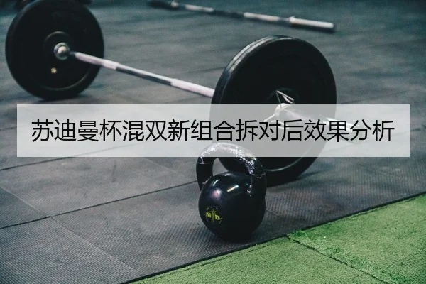 苏迪曼杯混双新组合拆对后效果分析